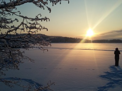 Does Light Therapy Really Work? 